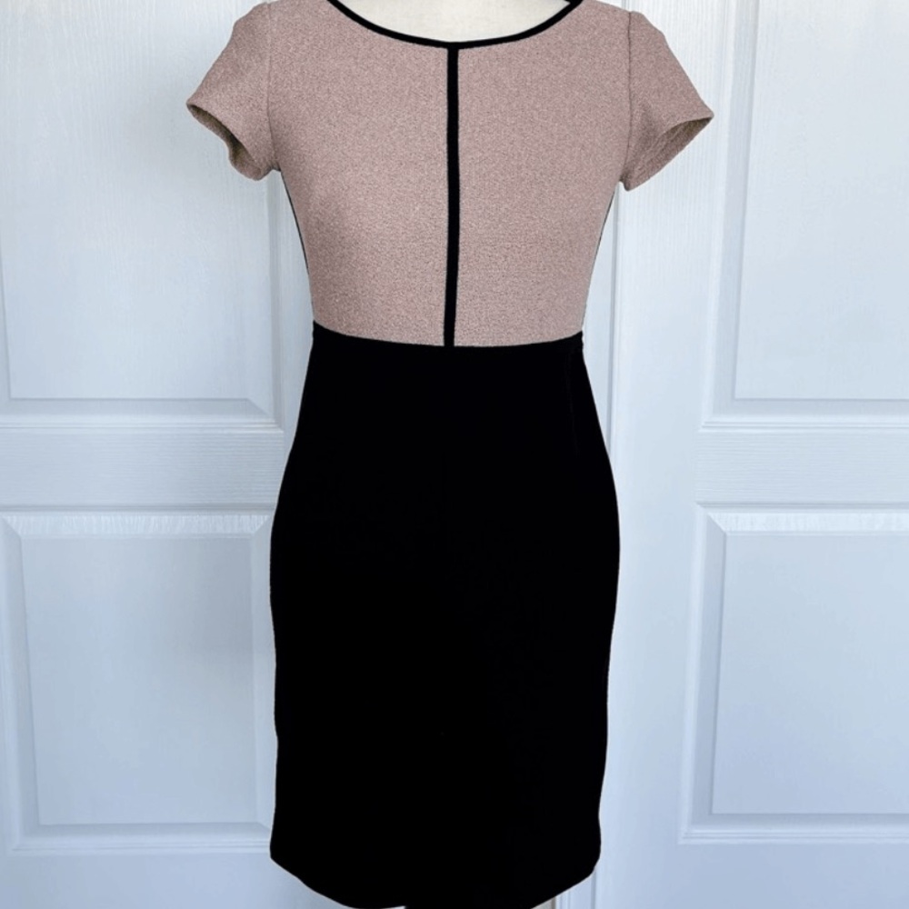 Ann Taylor Black and Tan Sheath Dress